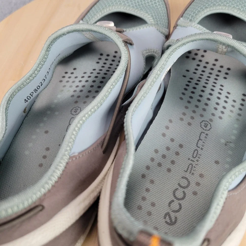 Ecco excellent pre